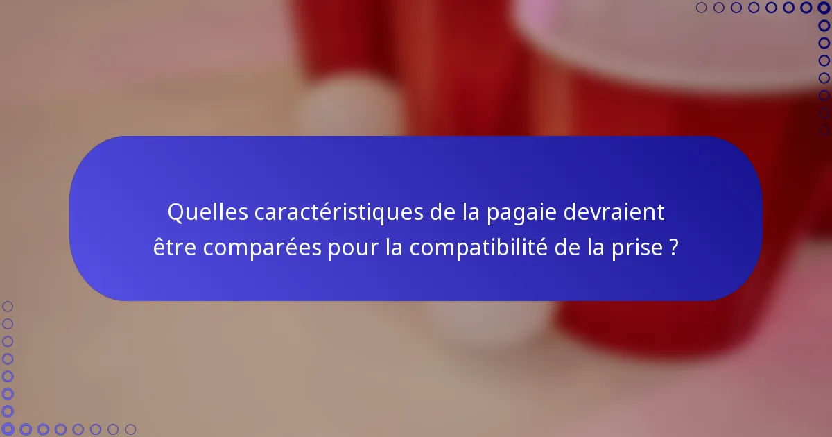 Quelles caractéristiques de la pagaie devraient être comparées pour la compatibilité de la prise ?