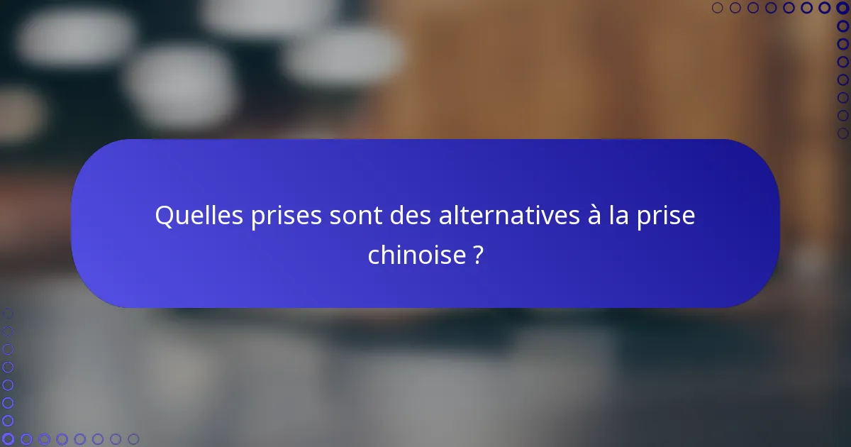 Quelles prises sont des alternatives à la prise chinoise ?